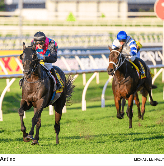 Antino Michael mcinall