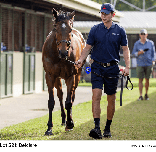 Lot 521: Belclare magic million