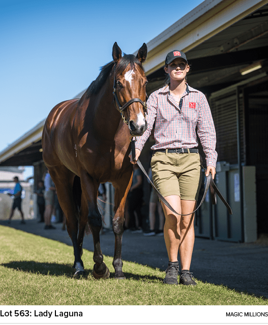 Lot 563: Lady Laguna magic million