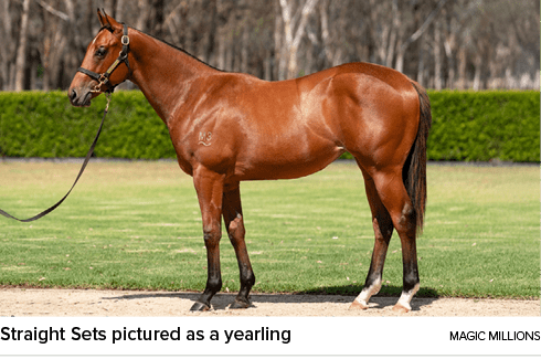 Straight Sets pictured as a yearling magic million
