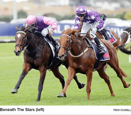 Beneath The Stars (left) Trish Dunel