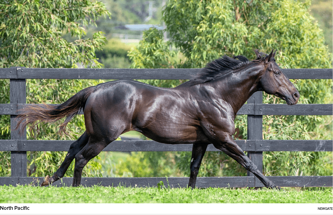 North Pacific newgat