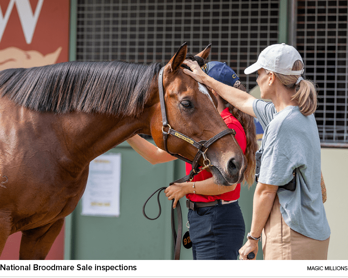 National Broodmare Sale inspections magic million