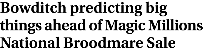 Bowditch predicting big things ahead of Magic Millions National Broodmare Sale