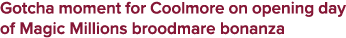 Gotcha moment for Coolmore on opening day of Magic Millions broodmare bonanza