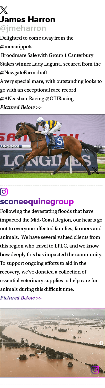 ￼ James Harron @jmeharron Delighted to come away from the @mmsnippets Broodmare Sale with Group 1 Canterbury Stakes w...