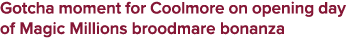 Gotcha moment for Coolmore on opening day of Magic Millions broodmare bonanza