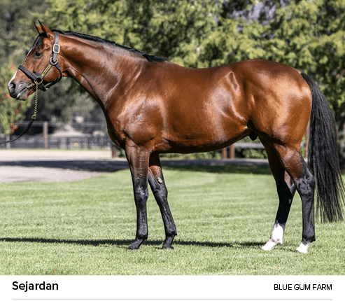 Sejardan Blue Gum Far