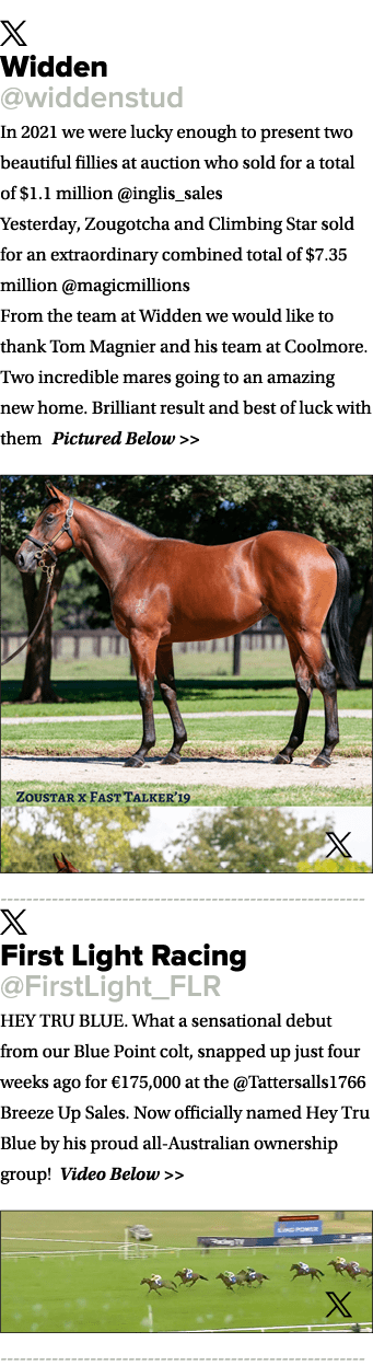 ￼ Widden @widdenstud In 2021 we were lucky enough to present two beautiful fillies at auction who sold for a total of...
