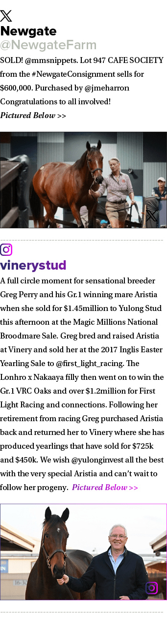 ￼ Newgate @NewgateFarm SOLD! @mmsnippets. Lot 947 CAFE SOCIETY from the #NewgateConsignment sells for $6️0️0️,0️0️0. ...