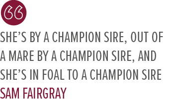 She’s by a champion sire, out of a mare by a champion sire, and she’s in foal to a champion sire Sam Fairgra