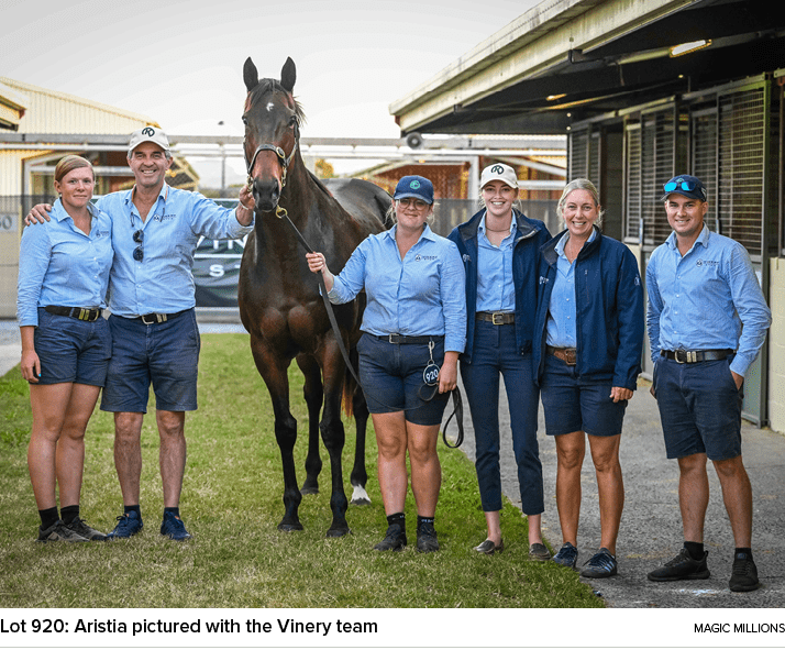 Lot 920: Aristia pictured with the Vinery team magic million