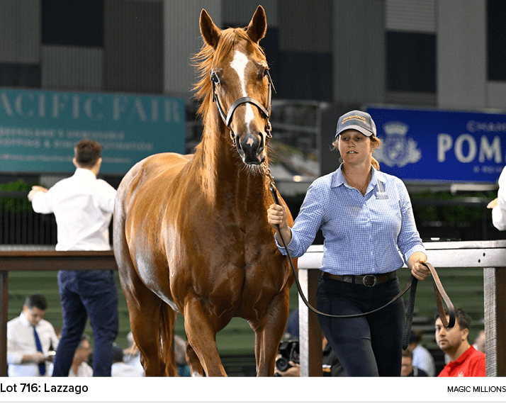 Lot 716: Lazzago magic million