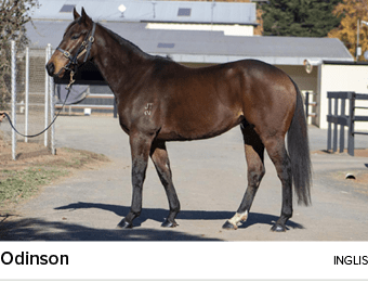 Odinson ingli