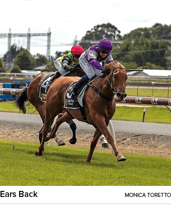 Ears Back Monica Torett