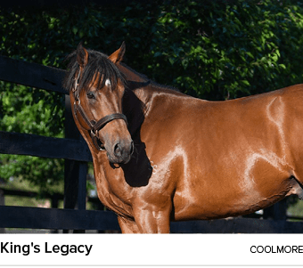 King's Legacy Coolmor