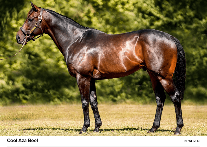 Cool Aza Beel Newhve