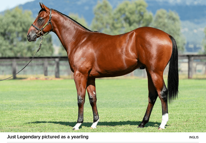Just Legendary pictured as a yearling Ingli
