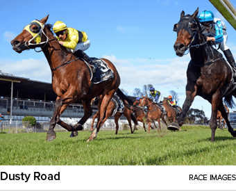 Dusty Road Race Image