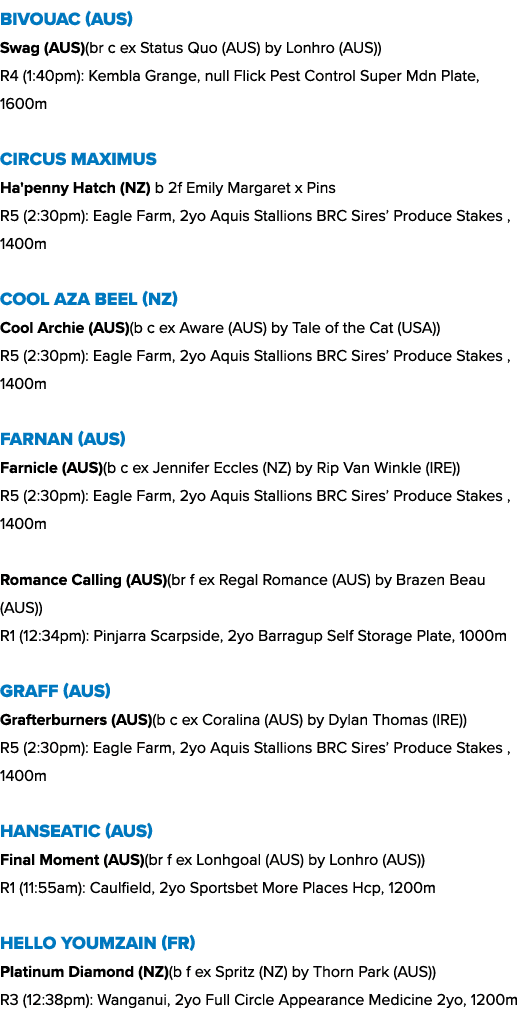 Bivouac (AUS) Swag (AUS)(br c ex Status Quo (AUS) by Lonhro (AUS)) R4 (1:40pm): Kembla Grange, null Flick Pest Contro...
