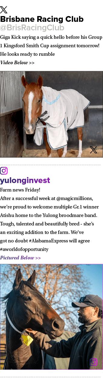 ￼ Brisbane Racing Club @BrisRacingClub Giga Kick saying a quick hello before his Group 1 Kingsford Smith Cup assignme...