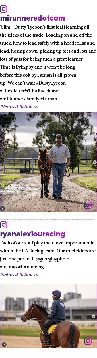 ￼ mirunnersdotcom ‘Slim’ (Dusty Tycoon’s first foal) learning all the tricks of the trade. Loading on and off the tru...