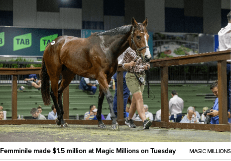 Femminile made $1.5 million at Magic Millions on Tuesday Magic Million