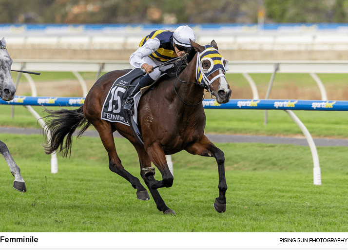Femminile Rising Sun Photograph