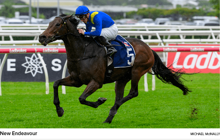 New Endeavour Michael McInall