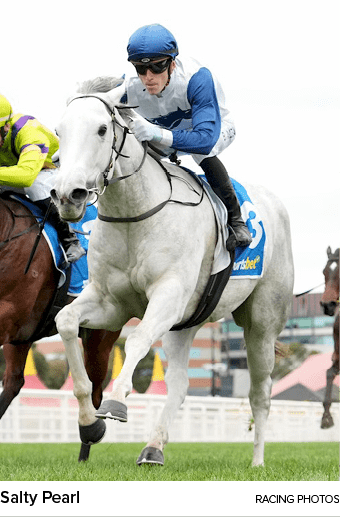 Salty Pearl racing photo