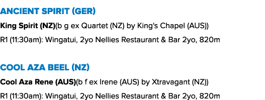 Ancient Spirit (GER) King Spirit (NZ)(b g ex Quartet (NZ) by King's Chapel (AUS)) R1 (11:30am): Wingatui, 2yo Nellies...