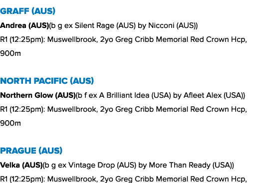 Graff (AUS) Andrea (AUS)(b g ex Silent Rage (AUS) by Nicconi (AUS)) R1 (12:25pm): Muswellbrook, 2yo Greg Cribb Memori...