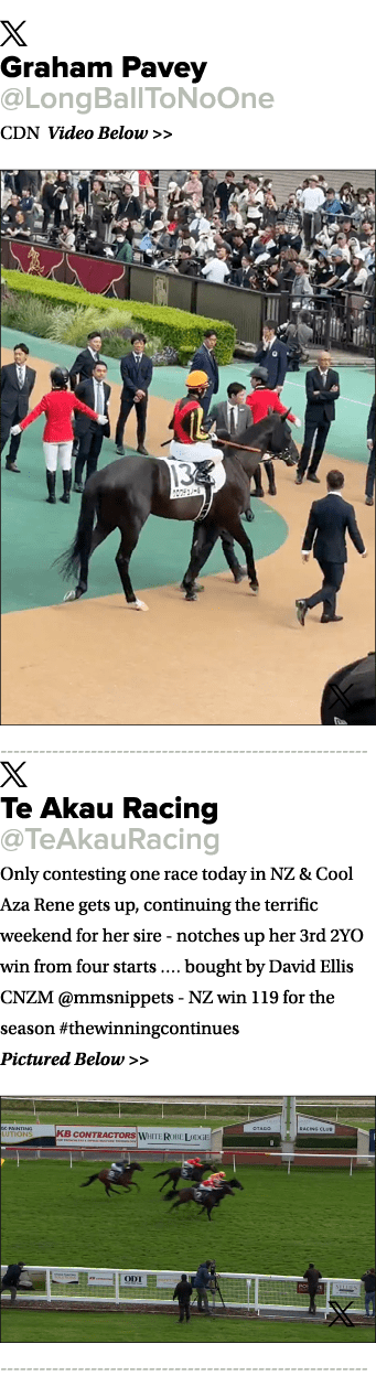 ￼ Graham Pavey @LongBallToNoOne CDN Video Below   ￼ ￼ Te Akau Racing @TeAkauRacing Only contesting one race today in...