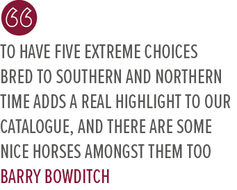 To have five Extreme Choices bred to southern and northern time adds a real highlight to our catalogue, and there are...