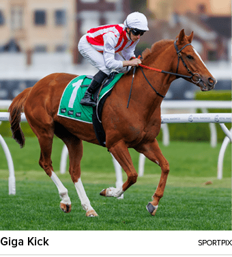 Giga Kick sportpi