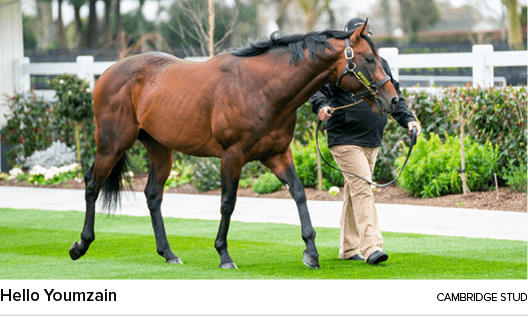 Hello Youmzain cambridge stu