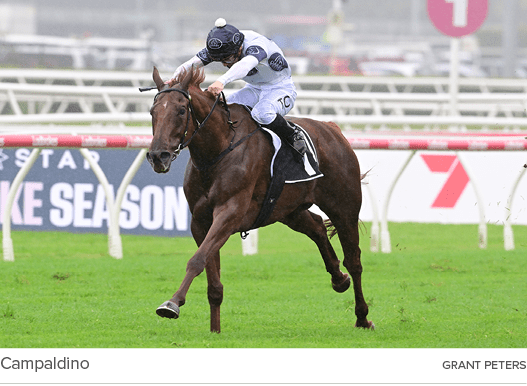 Campaldino Grant Peter