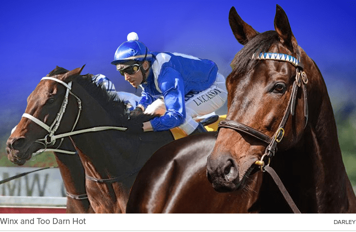 Winx and Too Darn Hot Darle