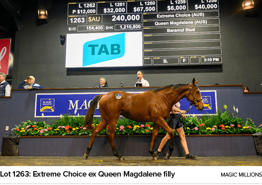Lot 1263: Extreme Choice ex Queen Magdalene filly Magic Million
