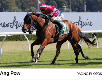 Ang Pow racing photo