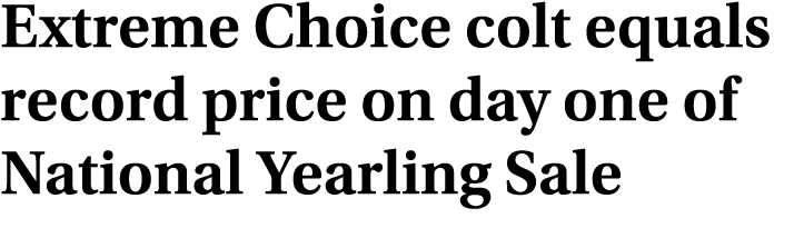 Extreme Choice colt equals record price on day one of National Yearling Sale