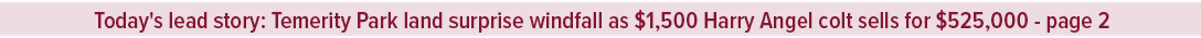 Today's lead story: Temerity Park land surprise windfall as $1,500 Harry Angel colt sells for $525,000 page 