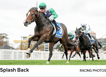 Splash Back racing photo