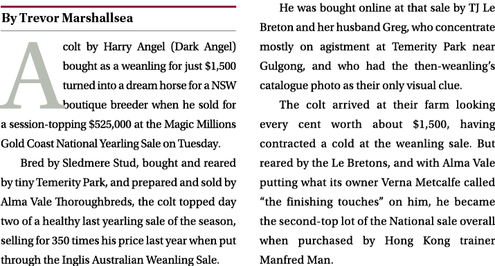 ￼ A colt by Harry Angel (Dark Angel) bought as a weanling for just $1,500 turned into a dream horse for a NSW boutiqu...