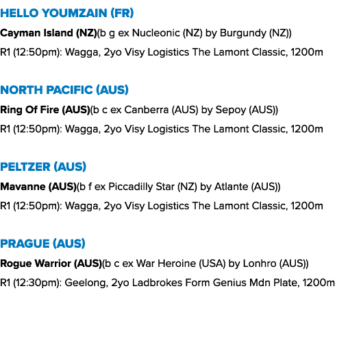Hello Youmzain (FR) Cayman Island (NZ)(b g ex Nucleonic (NZ) by Burgundy (NZ)) R1 (12:50pm): Wagga, 2yo Visy Logistic...