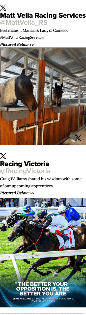 ￼ Matt Vella Racing Services @MattVella_RS Best mates… Manaal & Lady of Camelot #MattVellaRacingServices Pictured Bel...