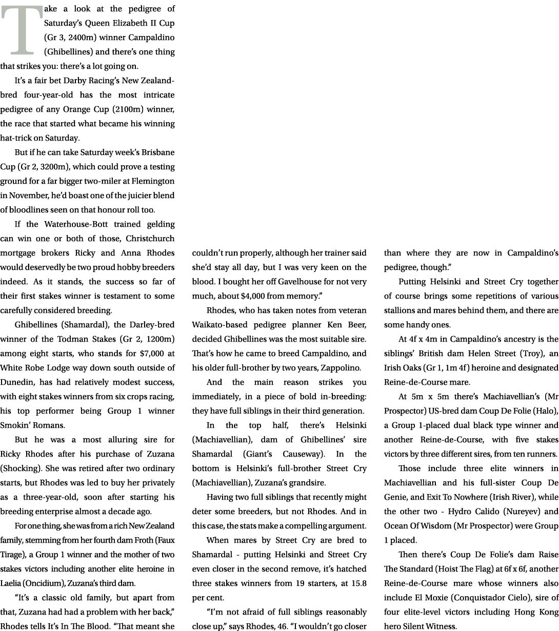 Take a look at the pedigree of Saturday’s Queen Elizabeth II Cup (Gr 3, 2400m) winner Campaldino (Ghibellines) and th...