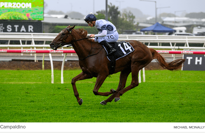 Campaldino Michael McInall