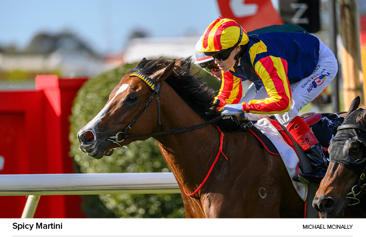 Spicy Martini Michael McInall