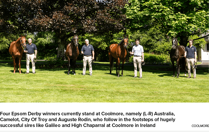 Four Epsom Derby winners currently stand at Coolmore, namely (L R) Australia, Camelot, City Of Troy and Auguste Rodin...